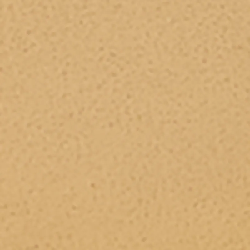 Criss Cross Band Metallic Detail Toe Loop Sandals sold by Rainbow product image thumbnail 4