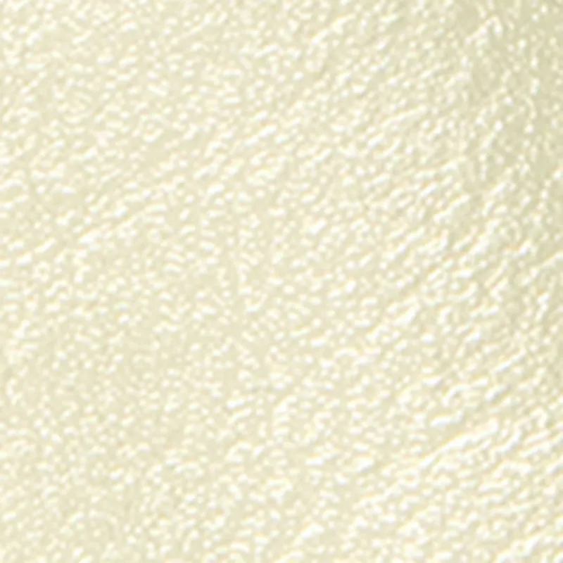 Metallic Buckle Open Toe Slide Sandals sold by Rainbow product image thumbnail 4