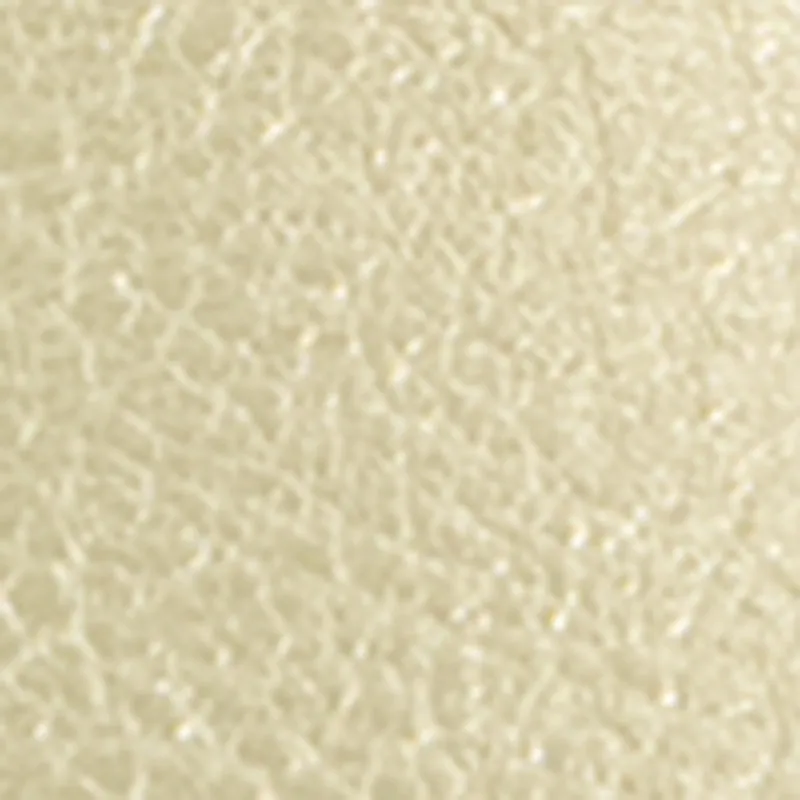 Double Buckle Toe Loop Footbed Sandals sold by Rainbow product image thumbnail 4