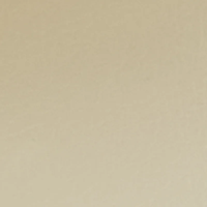 Metallic Trim Single Band Slide Sandals sold by Rainbow product image thumbnail 4