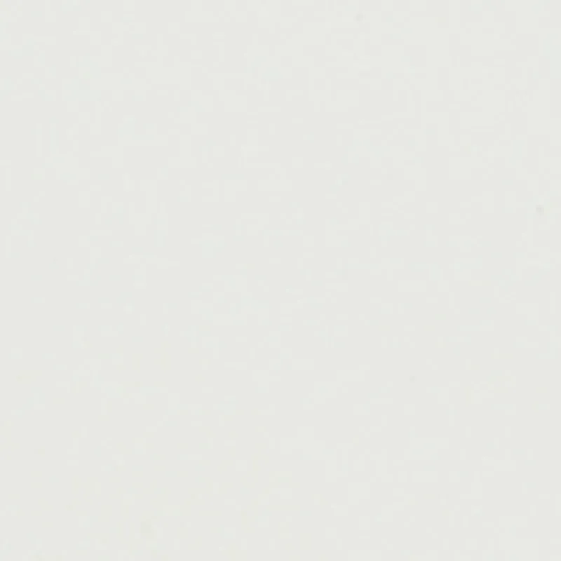 Metallic Double Buckle Slide Sandals sold by Rainbow product image thumbnail 4