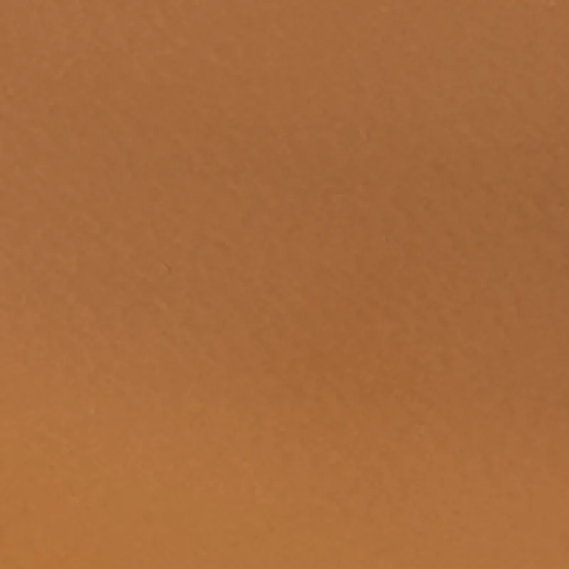 Metallic Trim Thong Sandals sold by Rainbow product image thumbnail 4