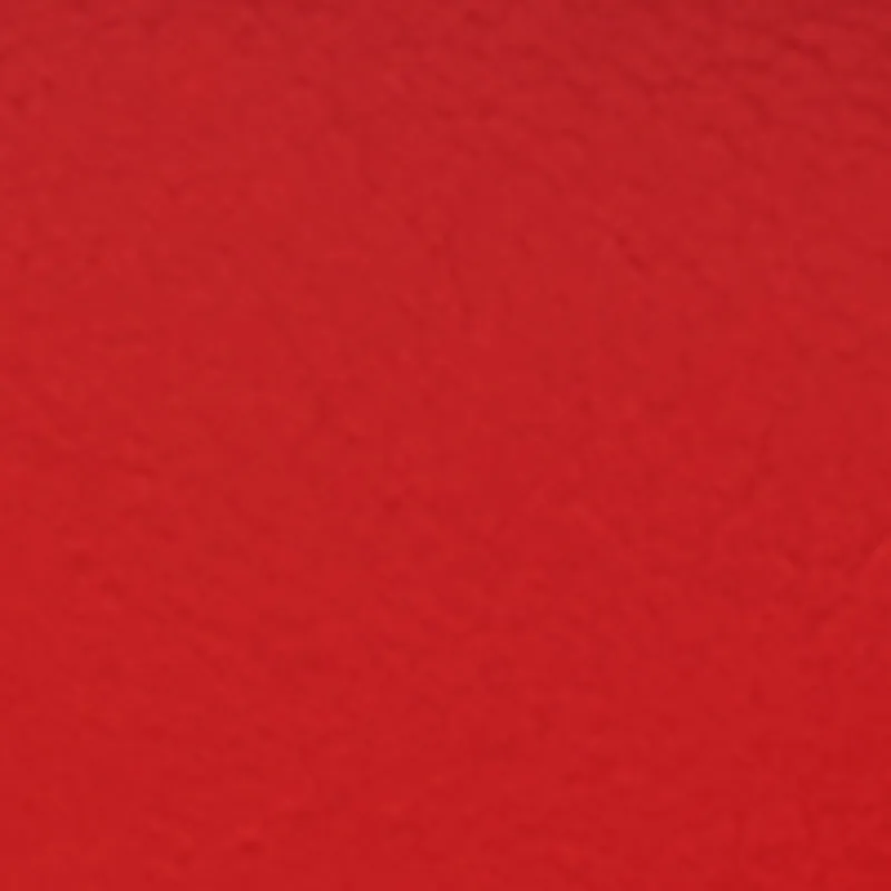 Metallic Trim Thong Sandals sold by Rainbow product image thumbnail 4