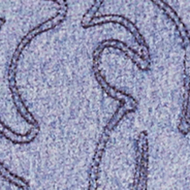 Plus Size Western Decorative Stitch High Waisted Jeans sold by Rainbow product image thumbnail 4