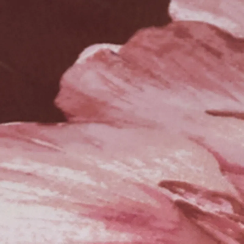 Plus Size Floral Mesh Overlay Side Ruched Maxi Dress sold by Rainbow product image thumbnail 4