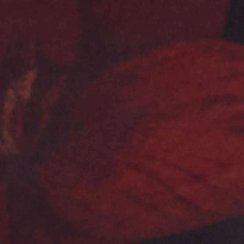 Mid Rise Floral Print Mesh Pants sold by Rainbow product image thumbnail 4