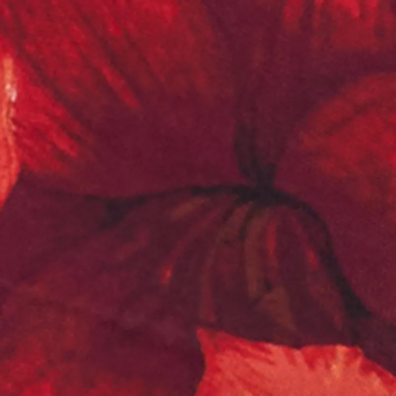 Mid Rise Floral Print Mesh Pants sold by Rainbow product image thumbnail 4