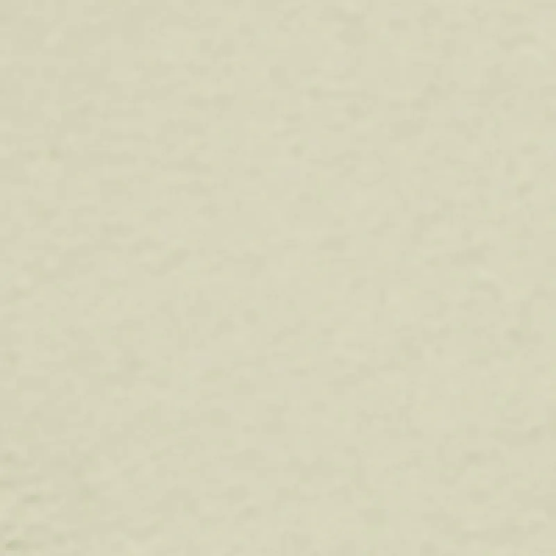 Metallic Toe Loop Strappy Slide Sandals sold by Rainbow product image thumbnail 4