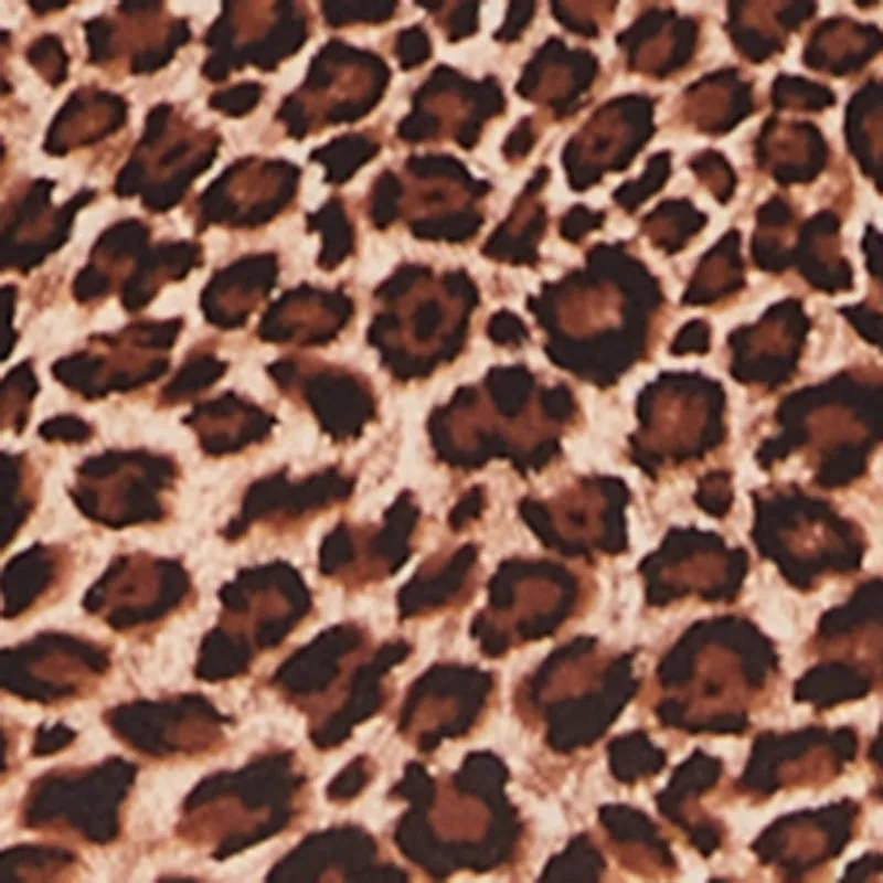 Sleeveless Side Cutout Leopard Print Midi Dress sold by Rainbow product image thumbnail 4
