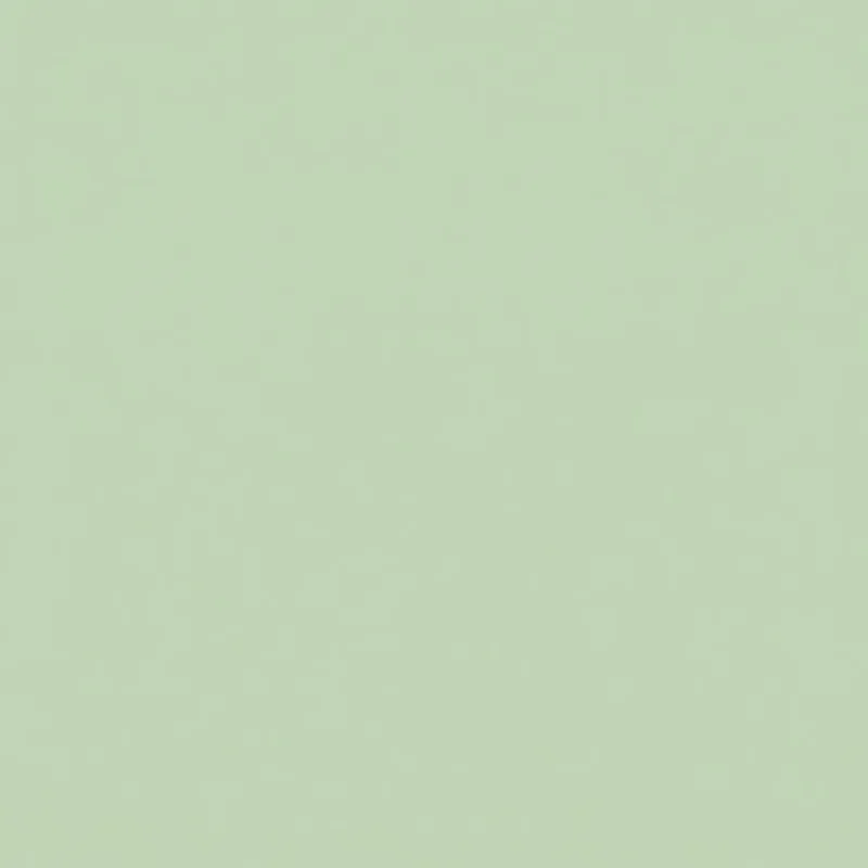 Solid Crochet Cropped Tank Top sold by Rainbow product image thumbnail 4