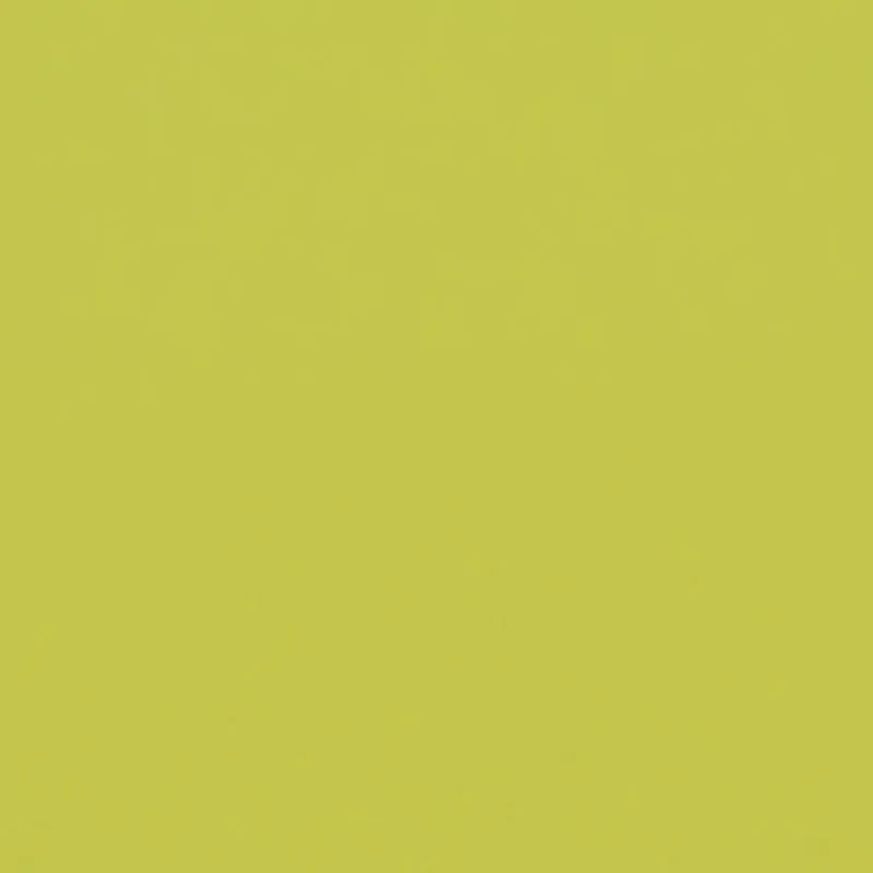 Square Neck Side Ruched Long Sleeve Blouse sold by Rainbow product image thumbnail 4