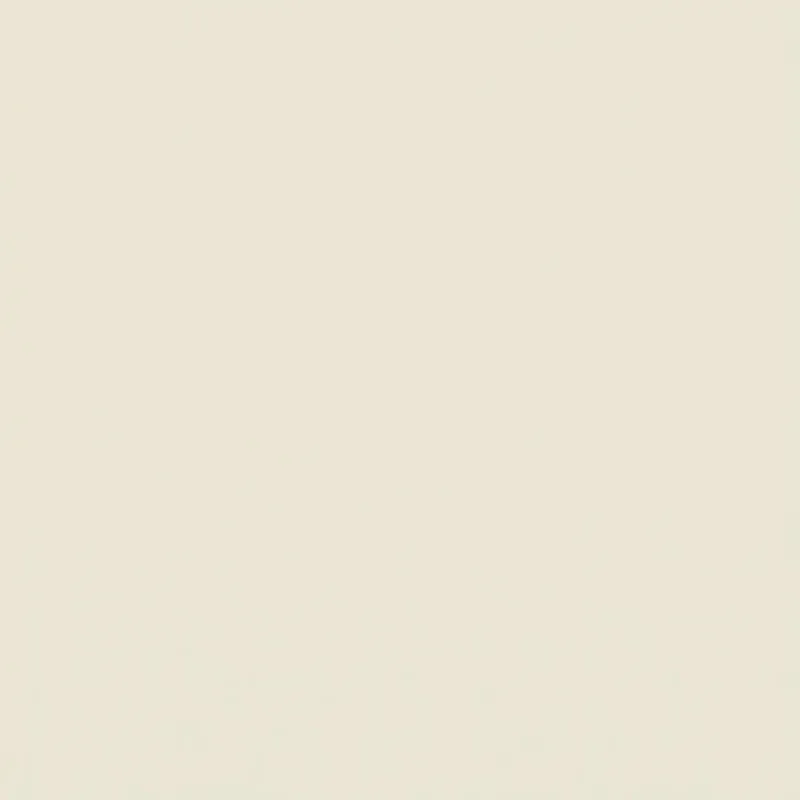 Square Neck Side Ruched Long Sleeve Blouse sold by Rainbow product image thumbnail 4