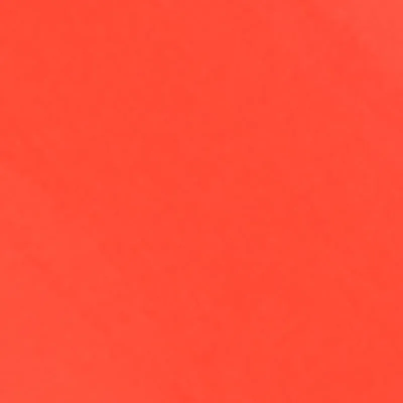 Solid Flip Flops sold by Rainbow product image thumbnail 4