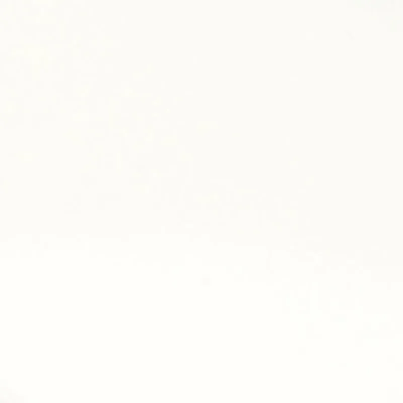 Solid Flip Flops sold by Rainbow product image thumbnail 4