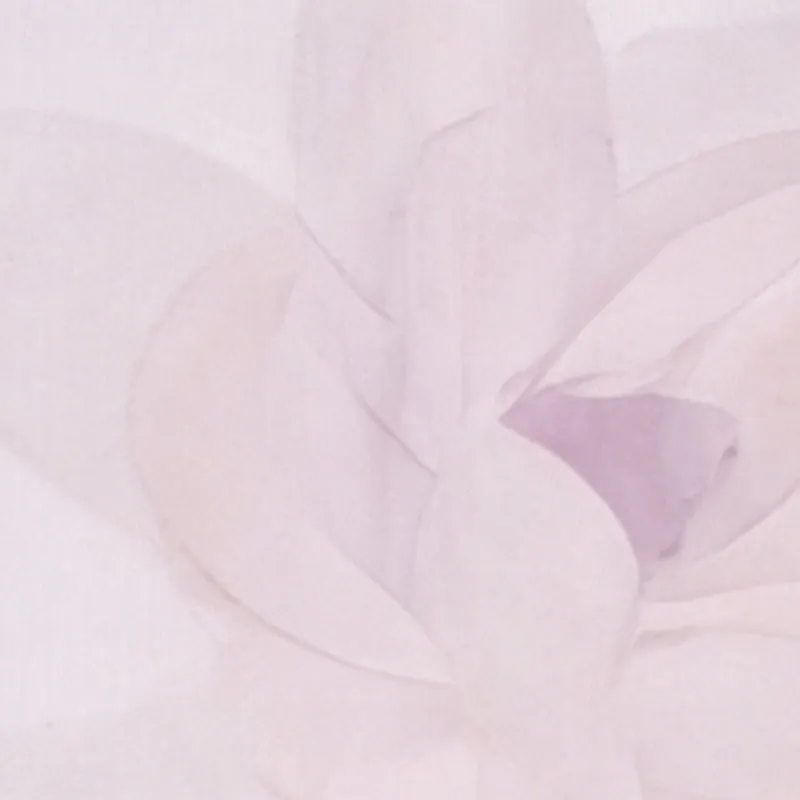 Floral Sweetheart Bustier Midi Dress sold by Rainbow product image thumbnail 4