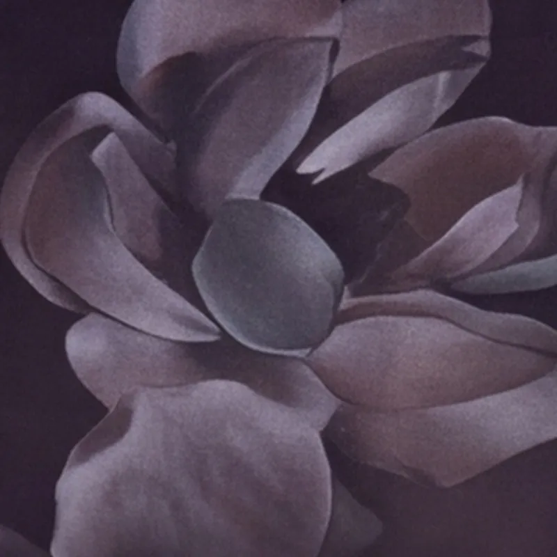 Floral Sweetheart Bustier Midi Dress sold by Rainbow product image thumbnail 4