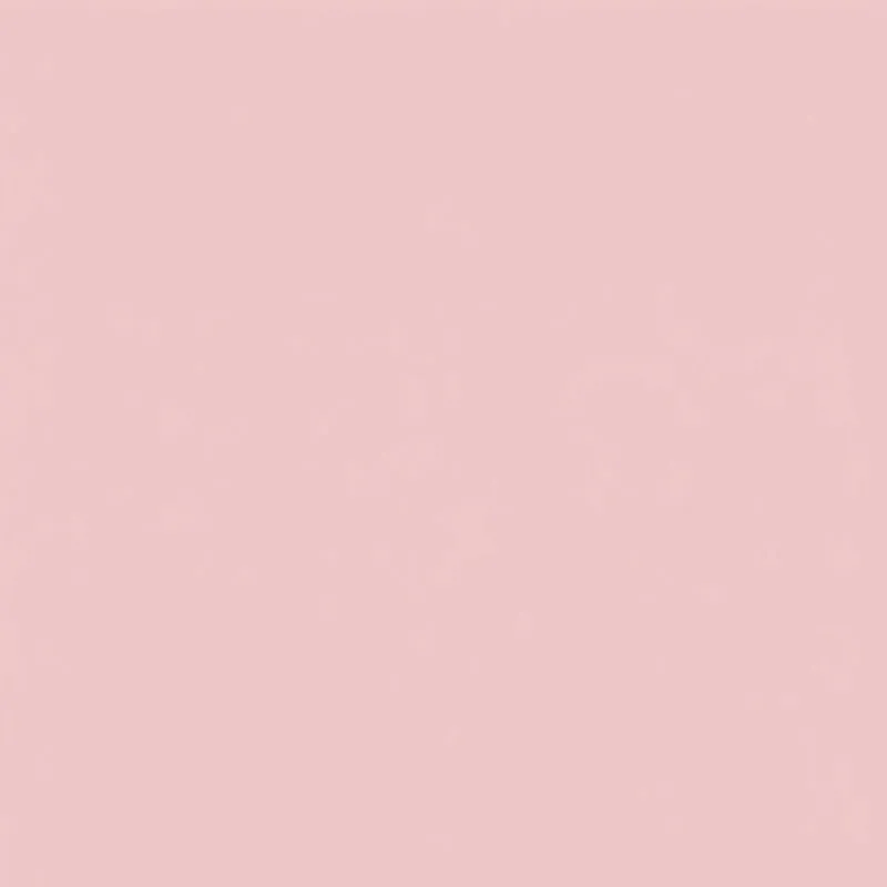 Varsity Stripe Detail Short Sleeve Jersey Top sold by Rainbow product image thumbnail 4