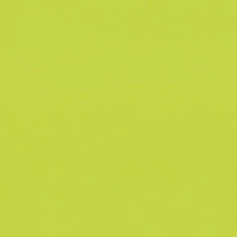 Metallic Detail Side Ruched Crop Top sold by Rainbow product image thumbnail 4