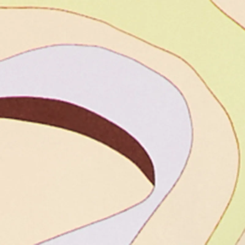 Patterned Drawstring Waist Crop Top sold by Rainbow product image thumbnail 4