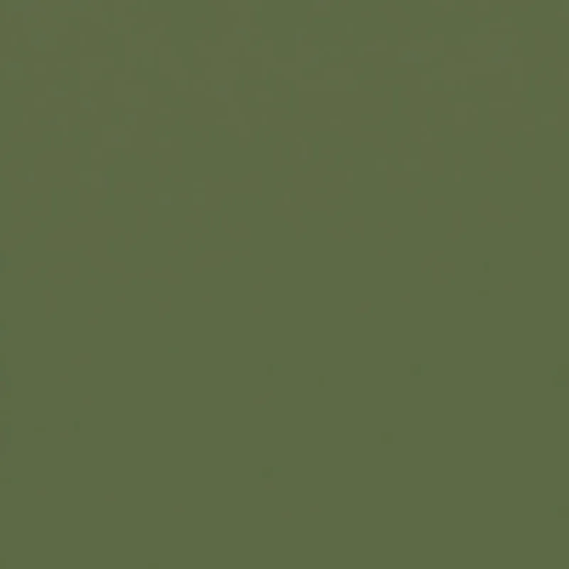 Plus Size High Waisted Cargo Capris with Rolled Cuffs sold by Rainbow product image thumbnail 4