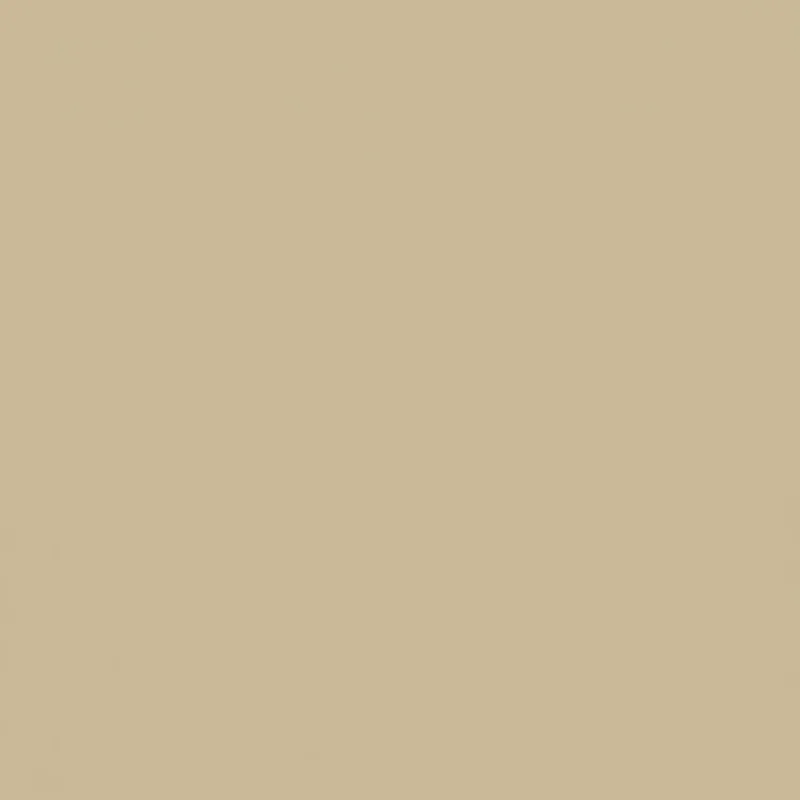 Plus Size High Waisted Cargo Capris with Rolled Cuffs sold by Rainbow product image thumbnail 4