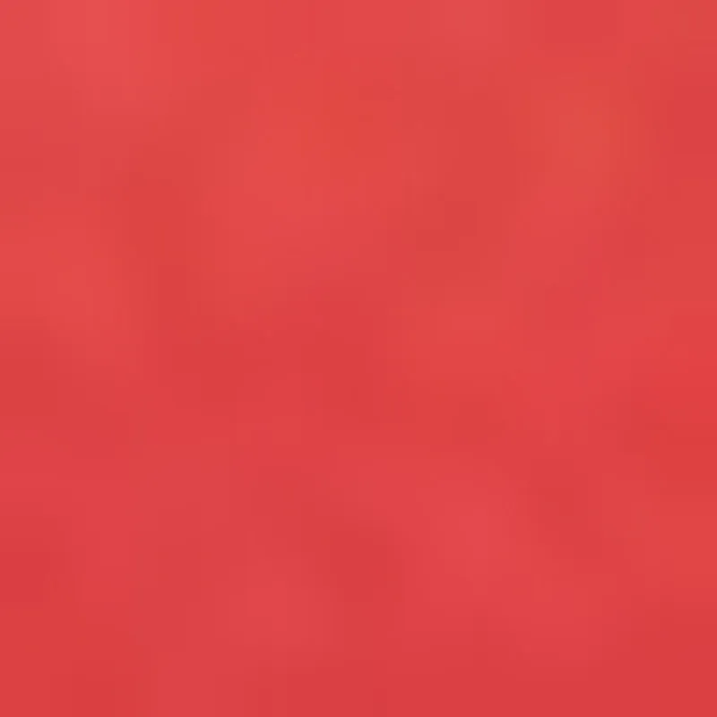 Plus Size High Waisted Stretch Cargo Shorts sold by Rainbow product image thumbnail 4