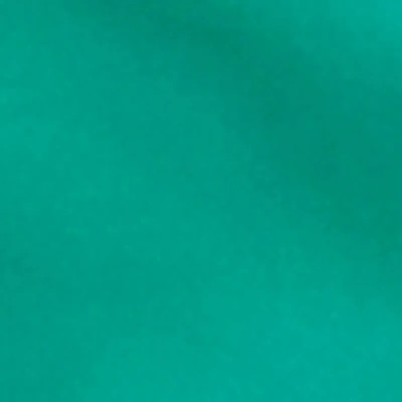 Plus Size High Waisted Stretch Cargo Shorts sold by Rainbow product image thumbnail 4