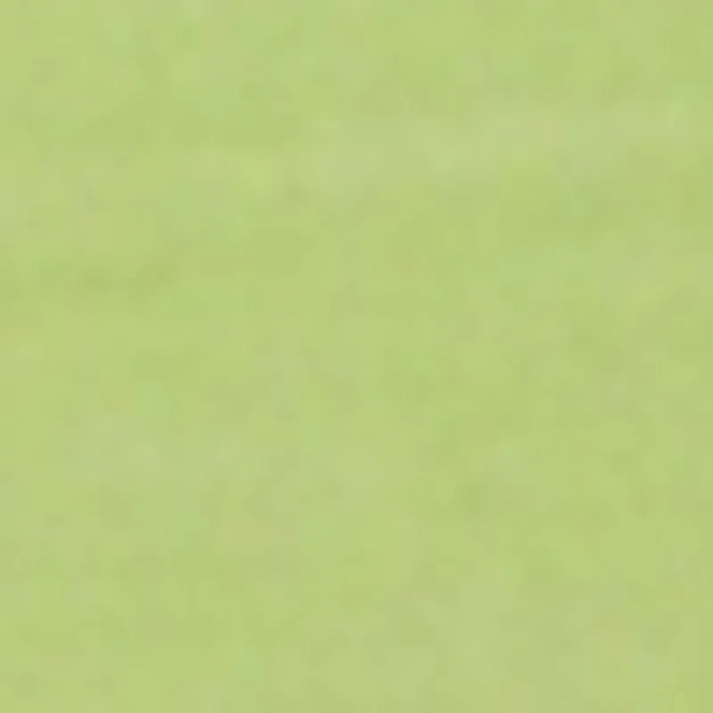 Plus Size Crochet Detail Notch Neck Top sold by Rainbow product image thumbnail 4