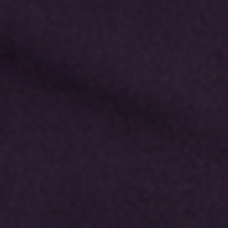 High Waisted Pleated Wide Leg Dress Pants sold by Rainbow product image thumbnail 4