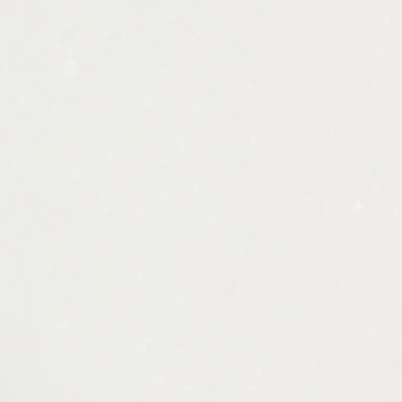 Metallic Low Top Canvas Sneakers sold by Rainbow product image thumbnail 4
