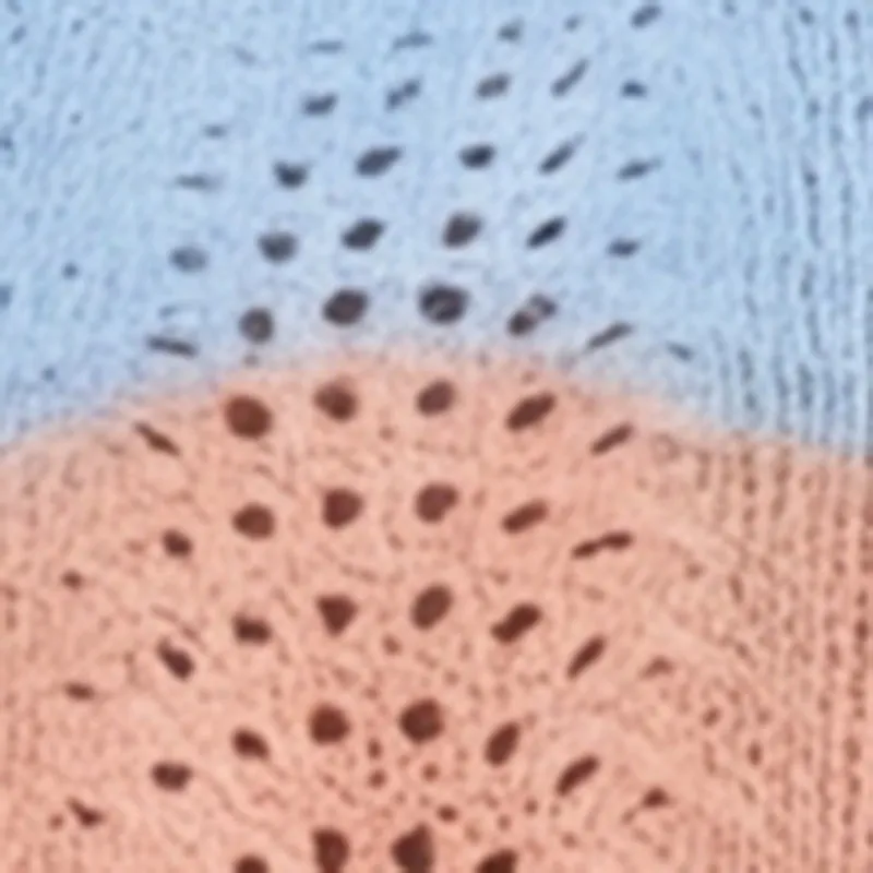 Color Blocked Crochet Crop Top sold by Rainbow product image thumbnail 4
