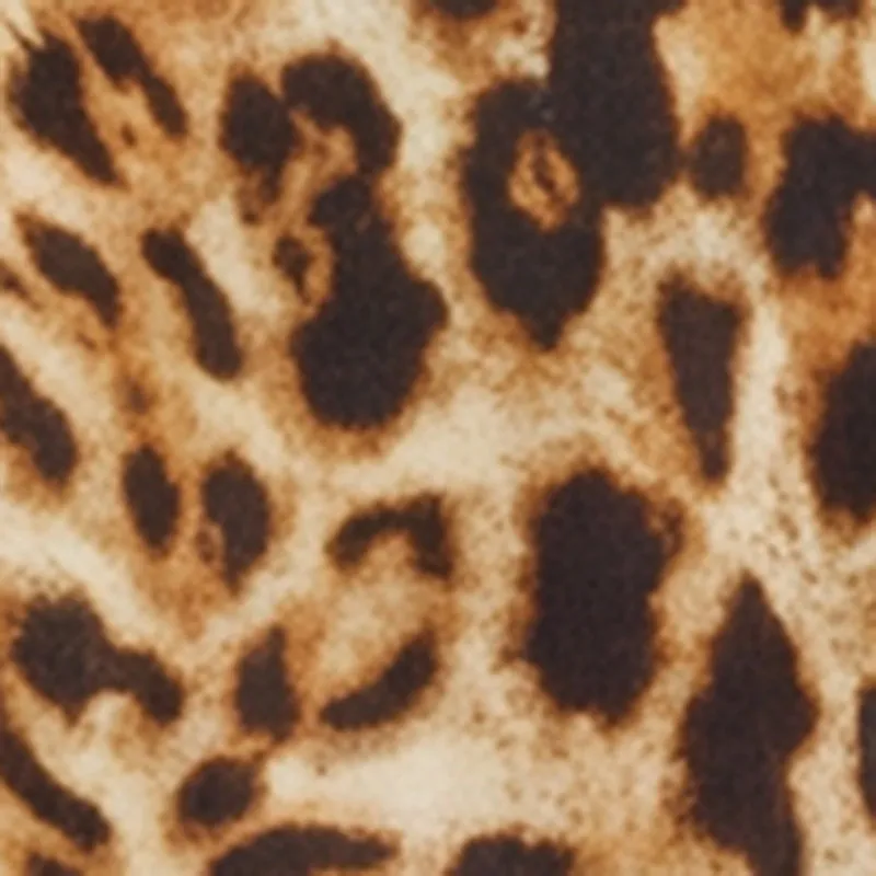 Leopard Print Short Sleeve Tiered Shirt Dress sold by Rainbow product image thumbnail 4