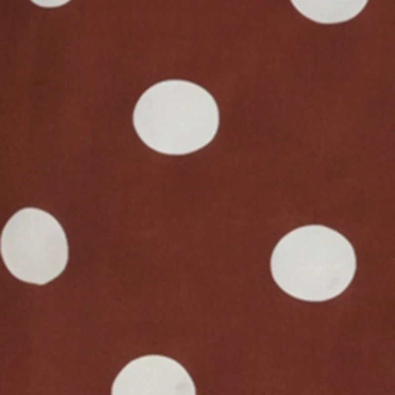 Polka Dot Long Sleeve Tie Front Cropped Shirt sold by Rainbow product image thumbnail 4