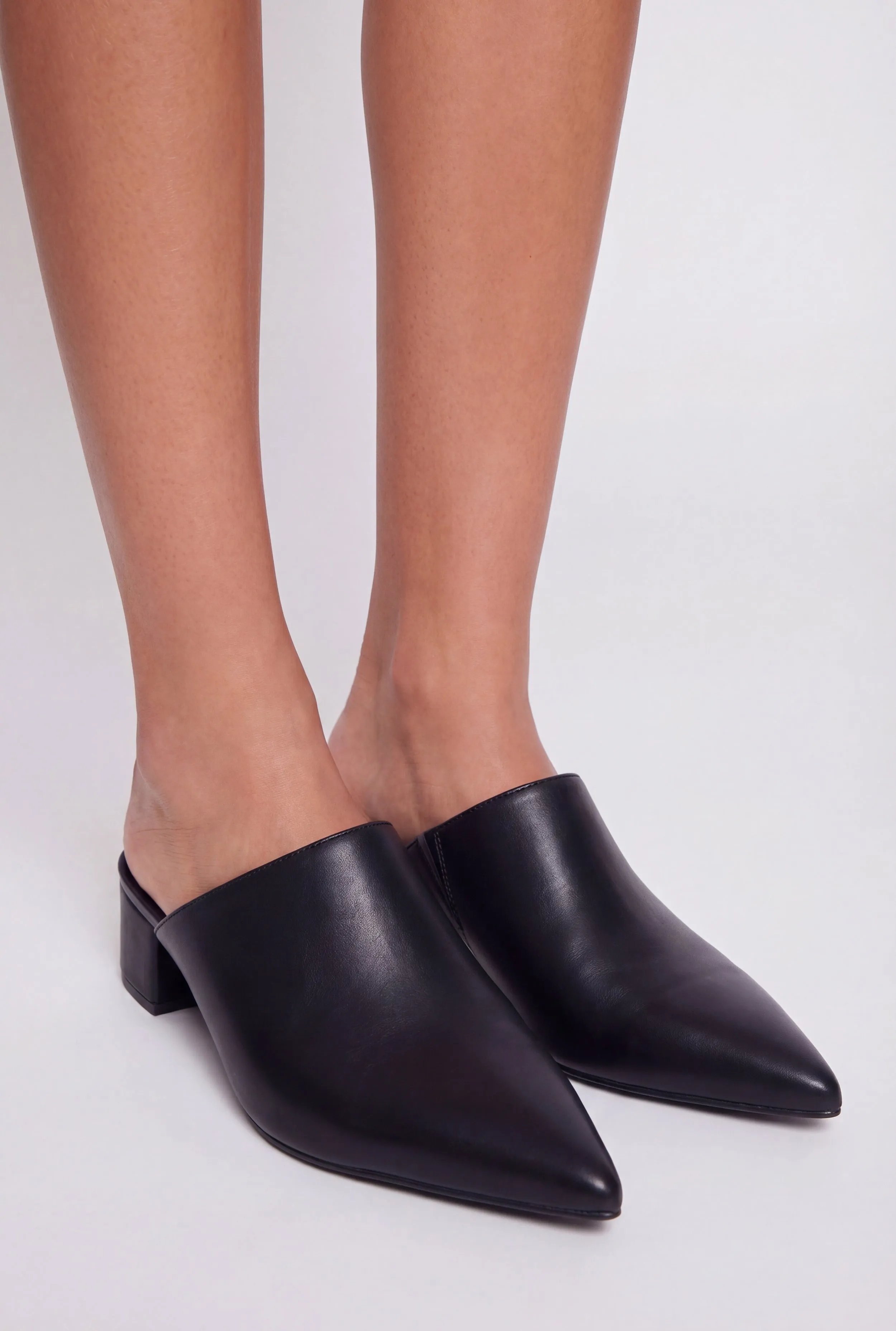Pointed Toe Block Heel Mules sold by Rainbow