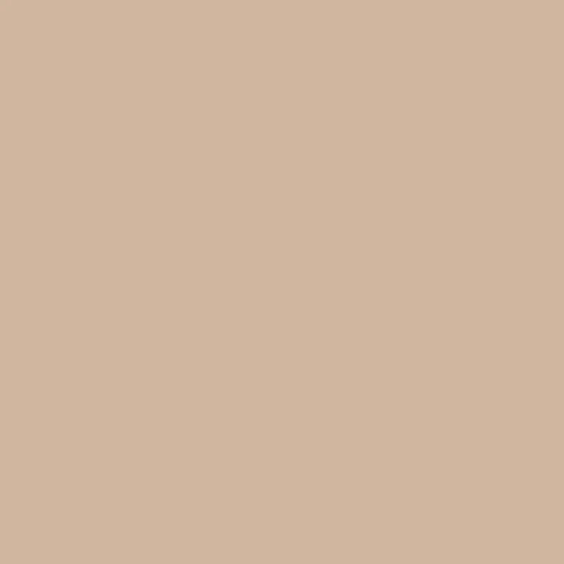 Plus Size Drawstring High Waisted Poplin Cargo Shorts sold by Rainbow product image thumbnail 4
