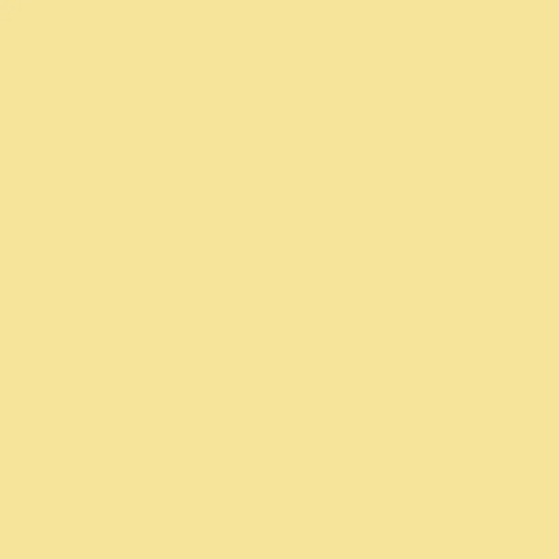 Faux Wrap Halter Crop Top sold by Rainbow product image thumbnail 4