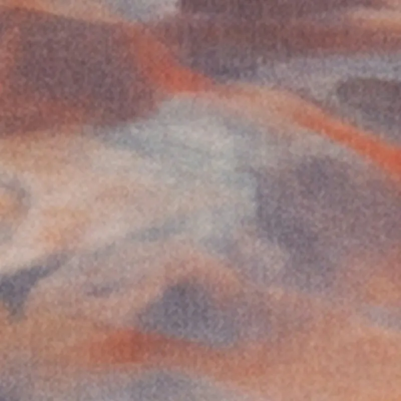 Printed Mesh Long Sleeve Crop Top sold by Rainbow product image thumbnail 4