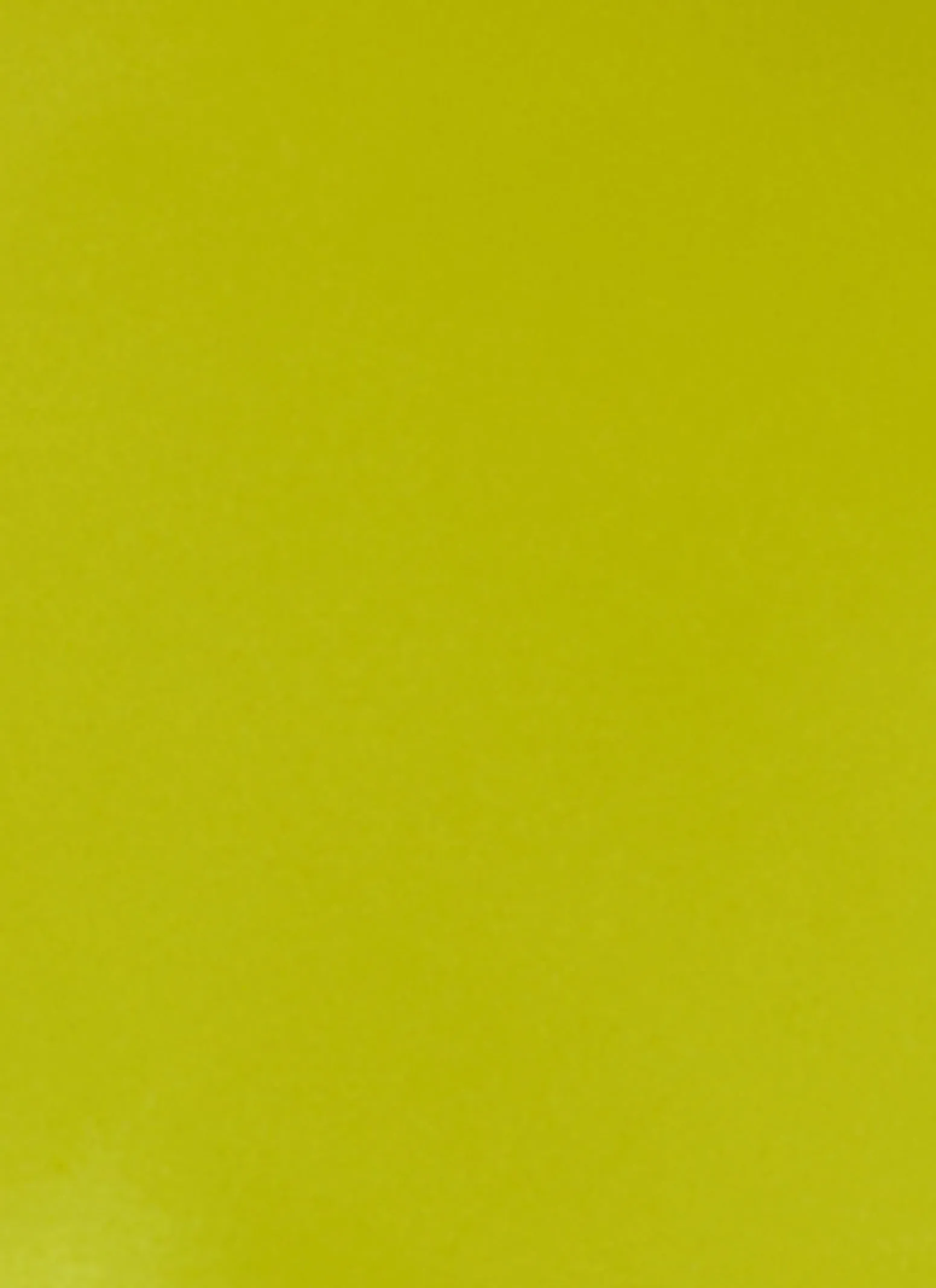 Open Back Ribbon Halter Neck Top sold by Rainbow product image thumbnail 4