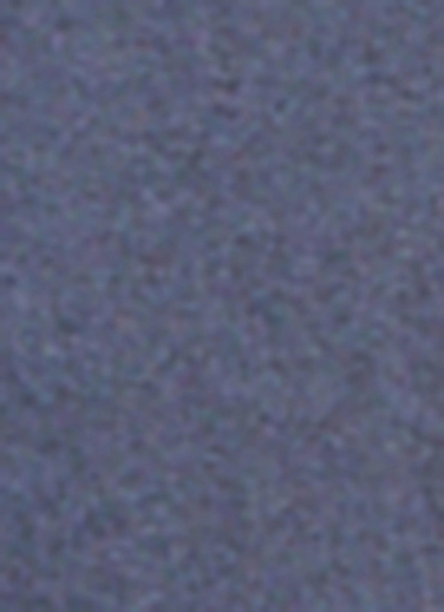 Belted Two Button Dress Pants sold by Rainbow product image thumbnail 4