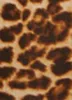 Leopard Print Boot Cut Pants sold by Rainbow
