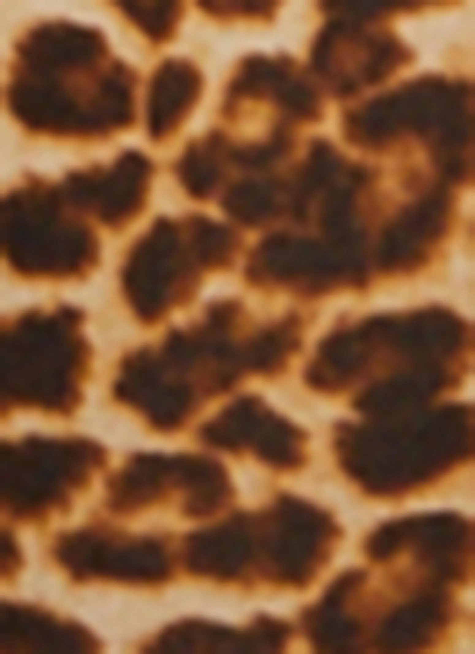 Leopard Print Boot Cut Pants sold by Rainbow product image thumbnail 4