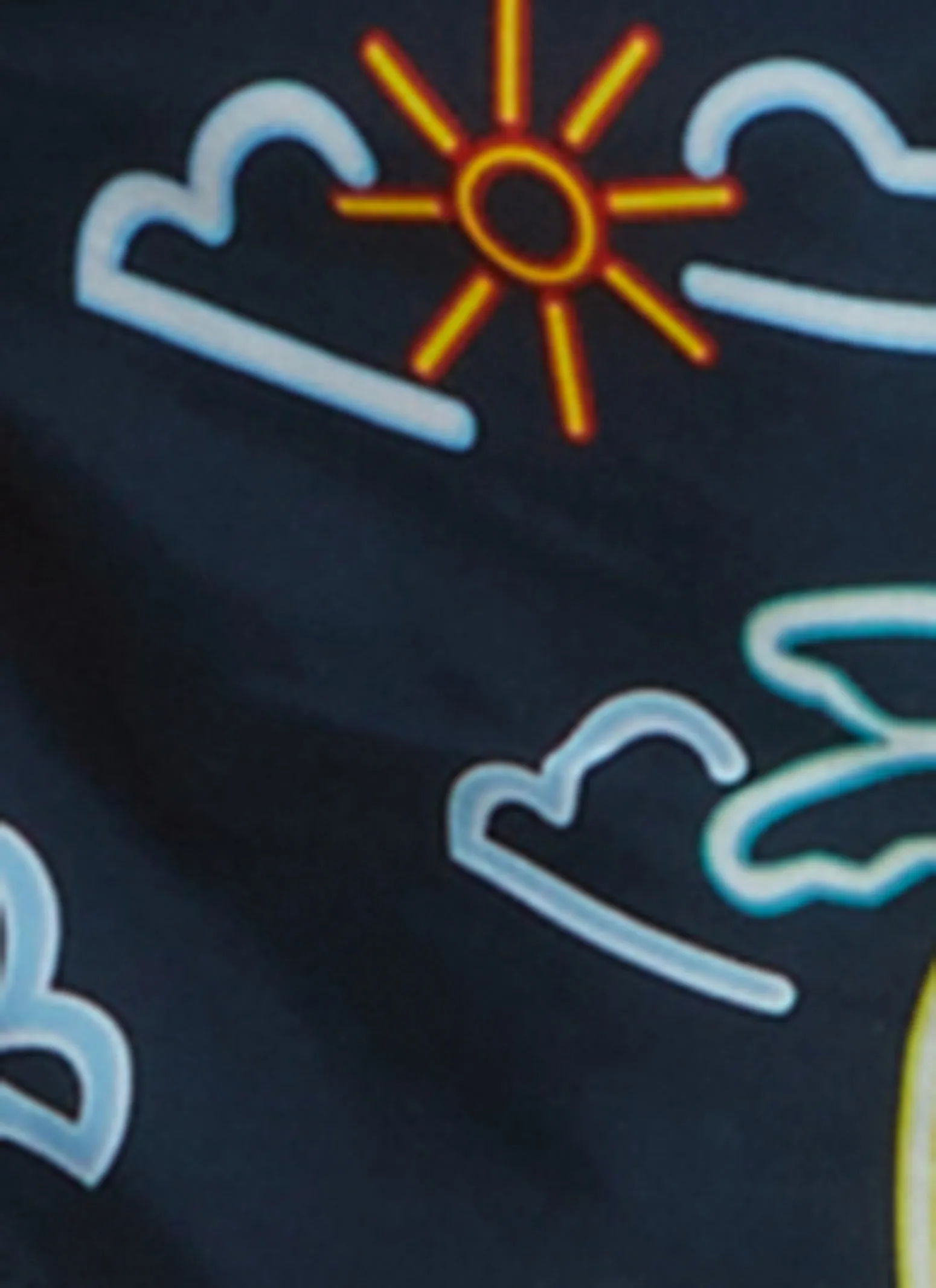 Mens Patterned Swim Trunks sold by Rainbow product image thumbnail 4