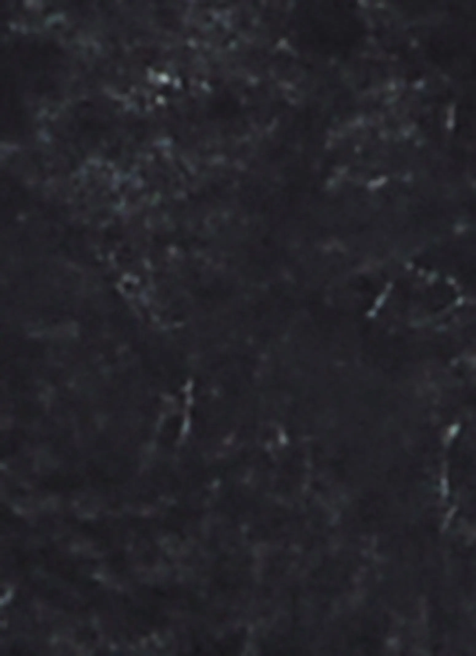 Plus Size Fringe Short Sleeve Acid Wash Tee sold by Rainbow product image thumbnail 4