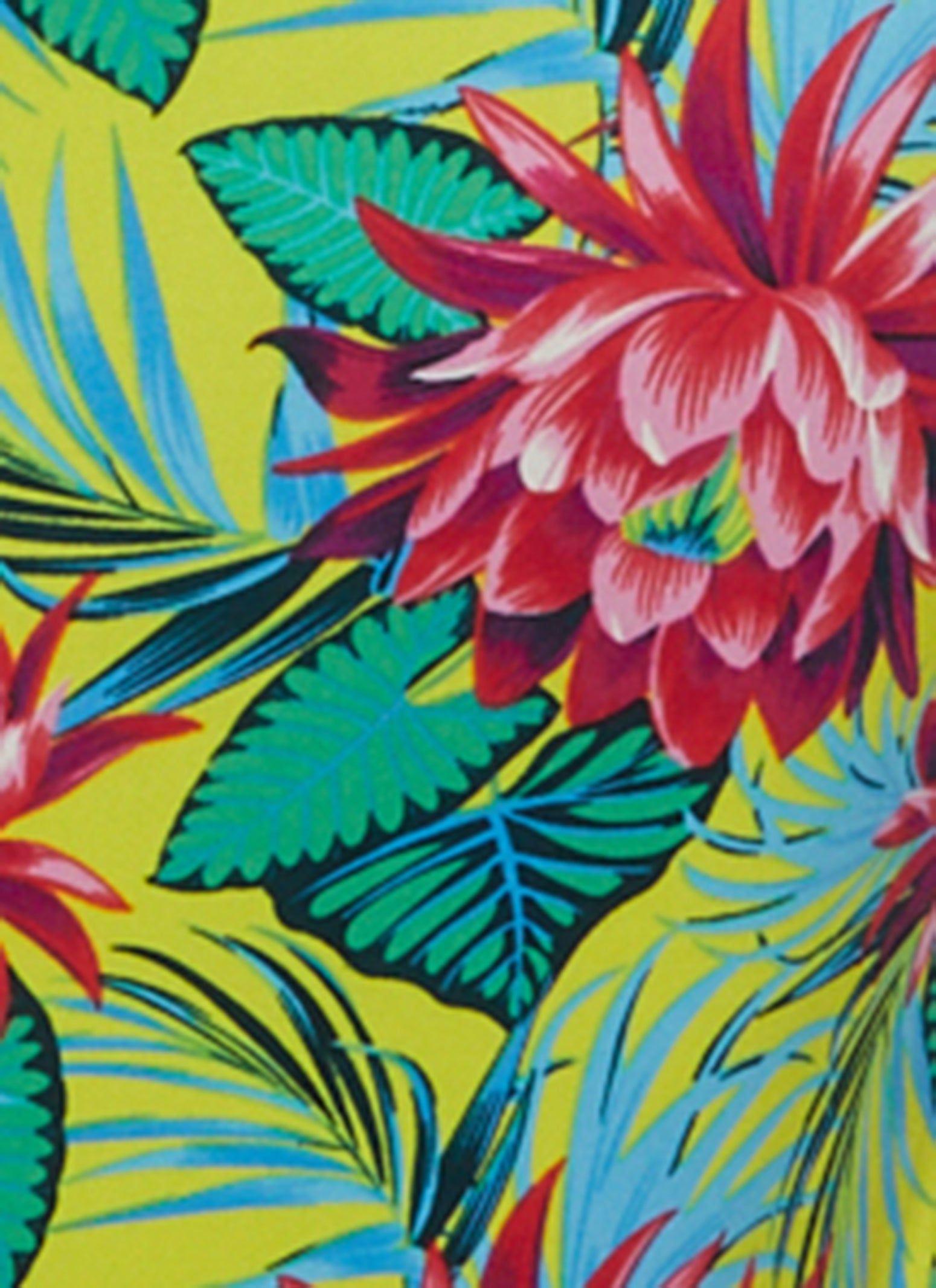 Tropical Print Cami Maxi Dress sold by Rainbow product image thumbnail 4