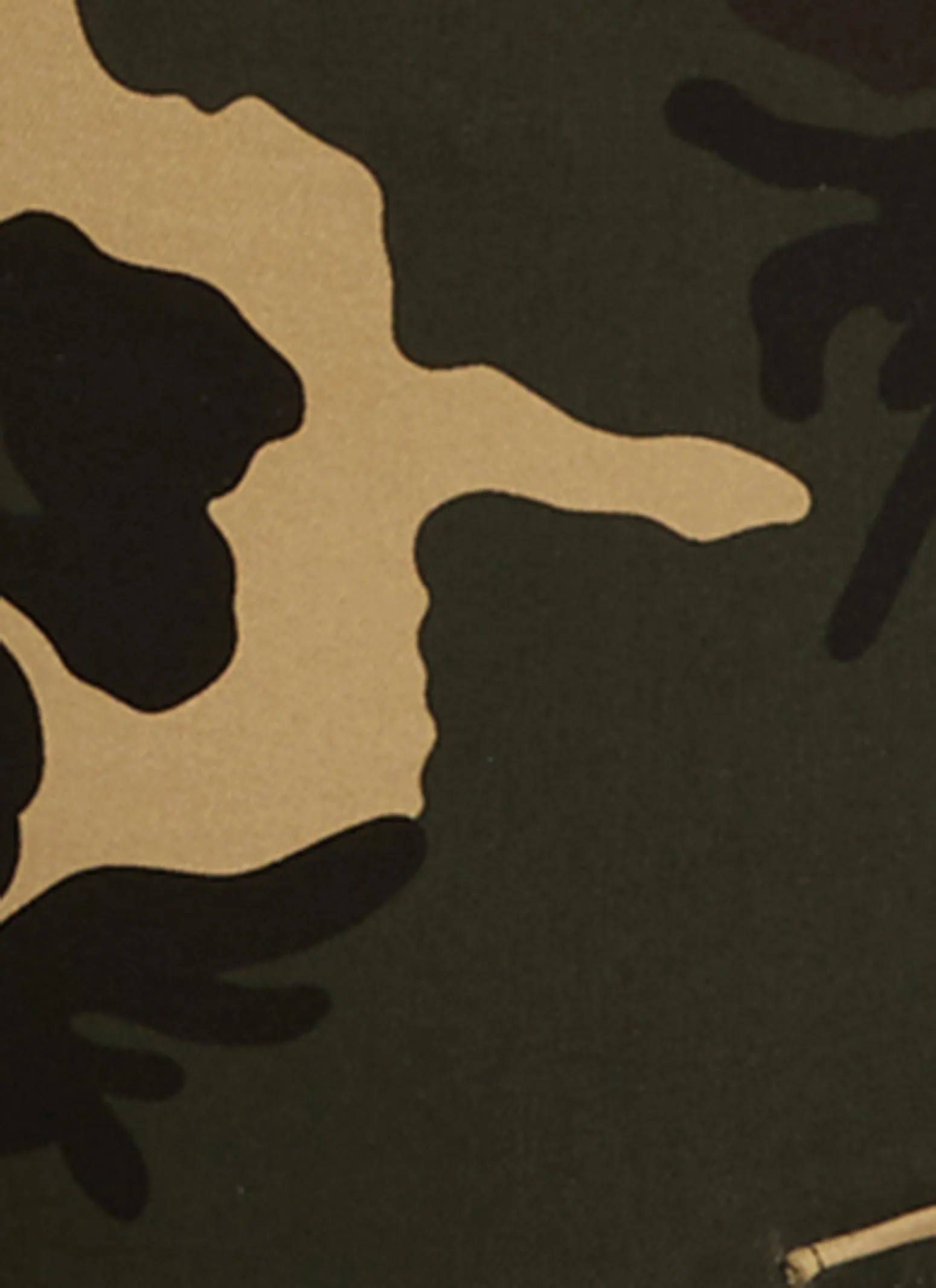 Plus Size Skinny Leg Camo Cargo Pants sold by Rainbow product image thumbnail 4