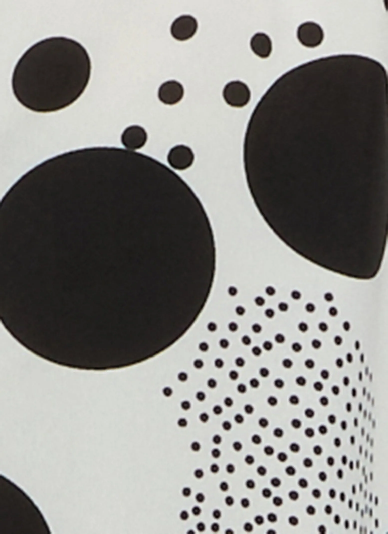 Plus Size Polka Dot Pleated Button Front Shirt sold by Rainbow product image thumbnail 4