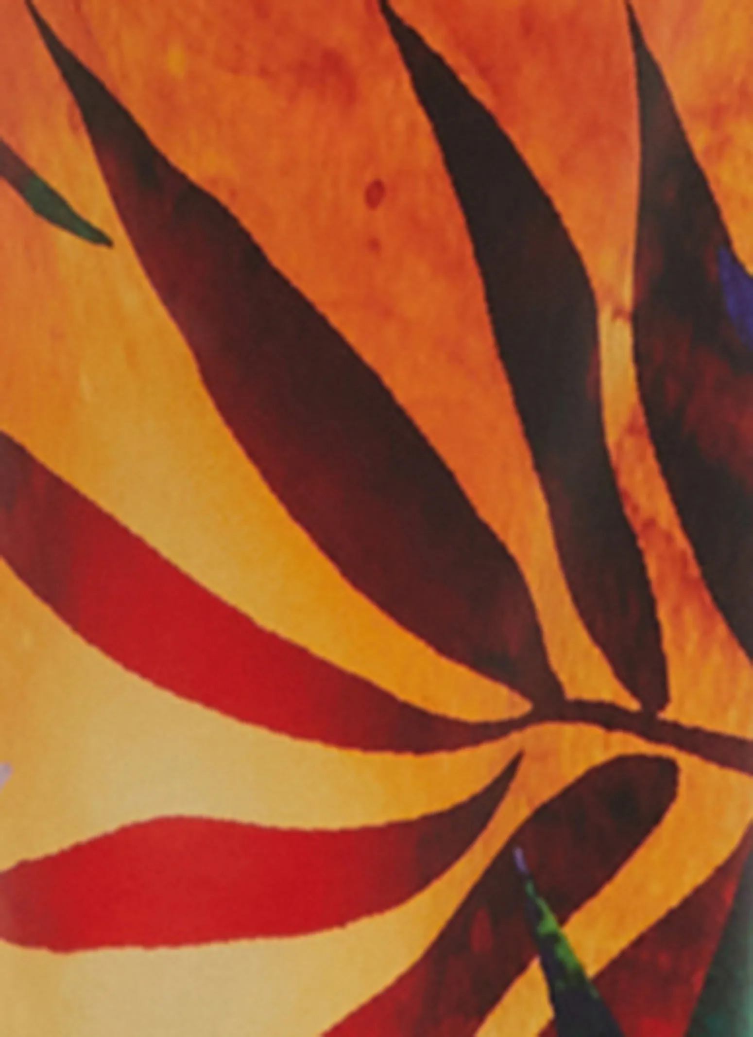 Printed High Waisted Pants sold by Rainbow product image thumbnail 3