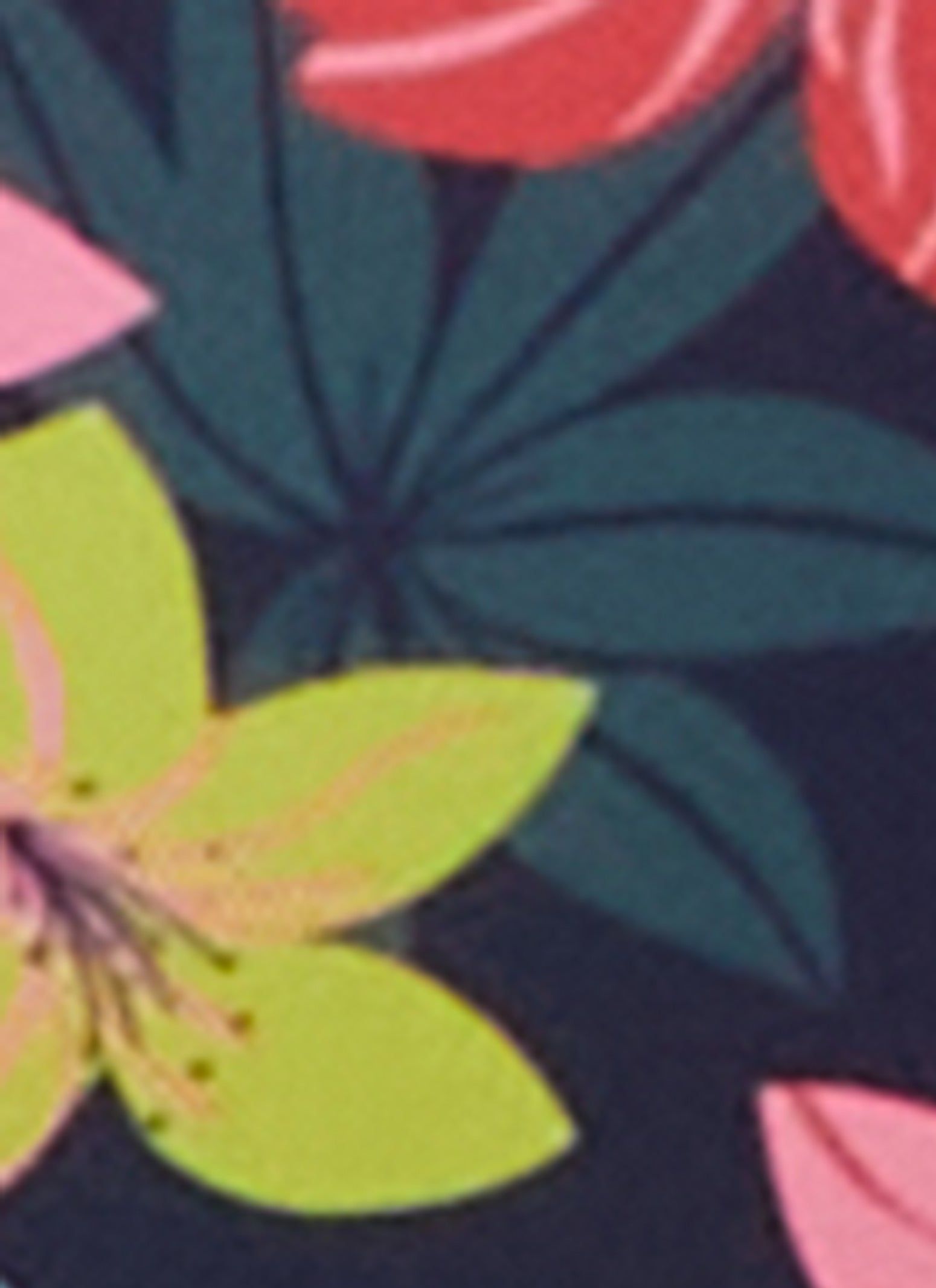 Floral V Front High Cut Swim Bikini Bottoms sold by Rainbow product image thumbnail 3