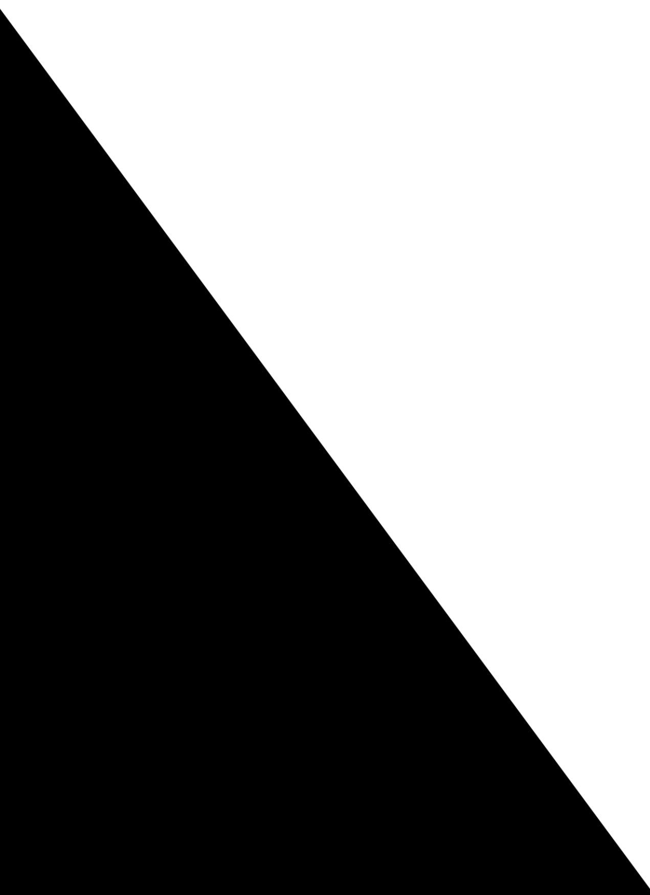 Color Blocked Biker Shorts sold by Rainbow product image thumbnail 3