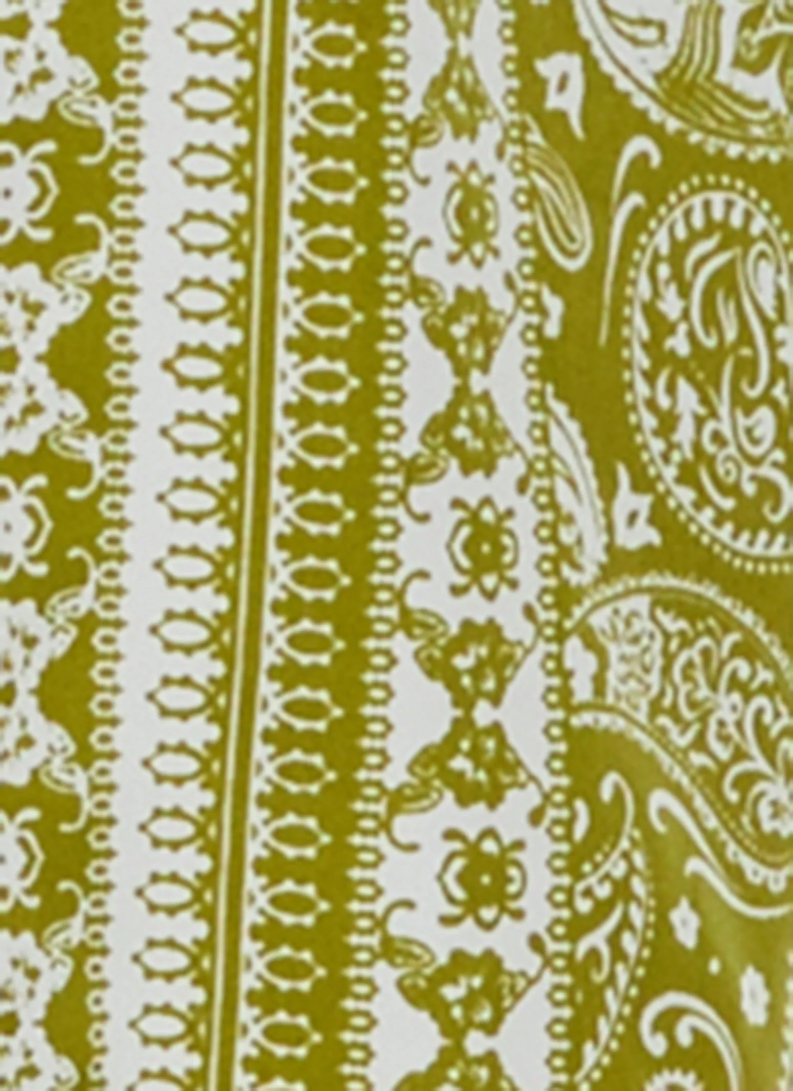 Plus Size Paisley Print Belted Shirt Dress sold by Rainbow product image thumbnail 4